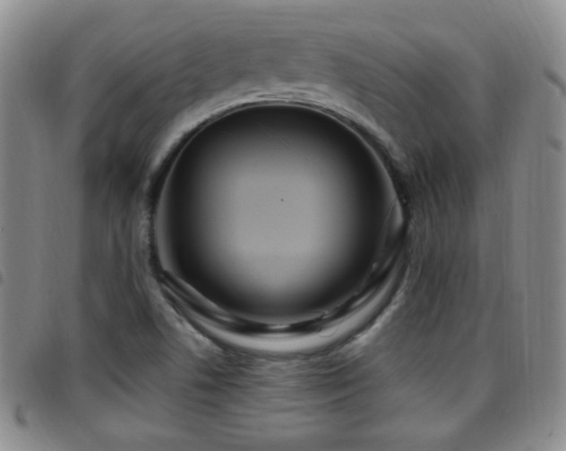 X0000097891506200803141321