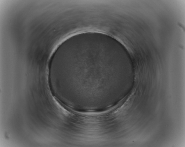 X0000097891508200803141321
