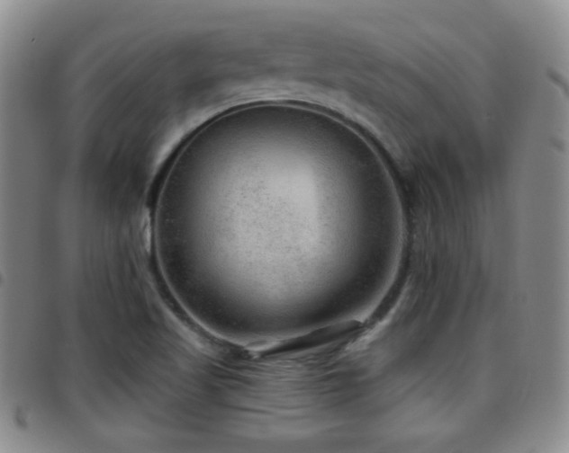 X0000097891509200803141321