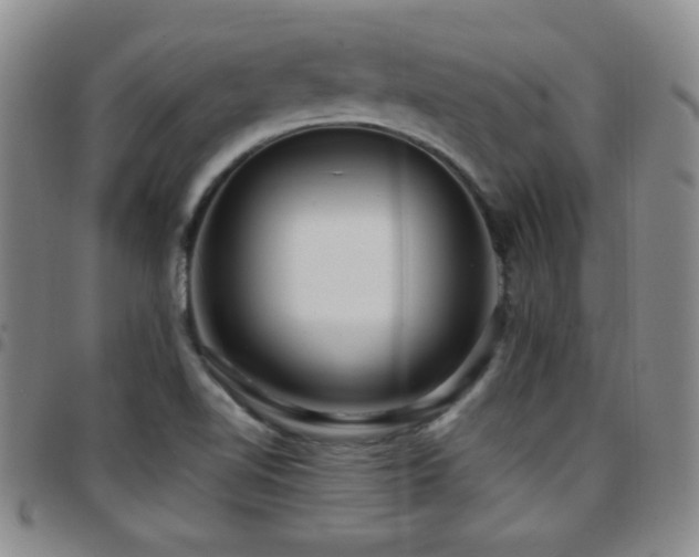 X0000097891510200803141321
