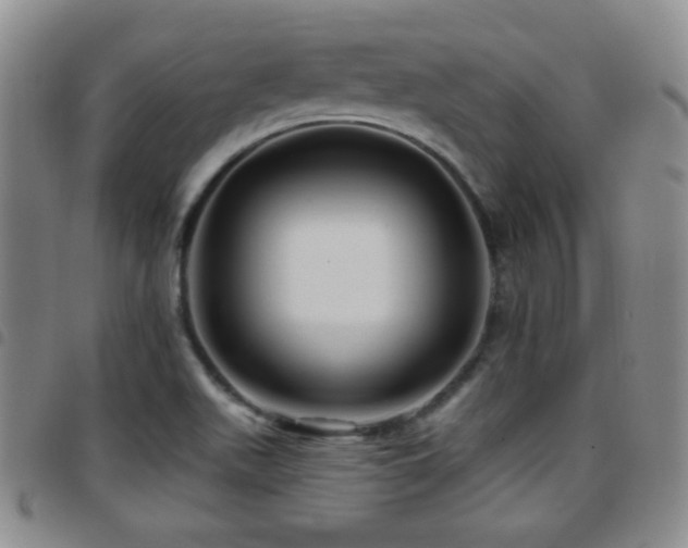 X0000097891511200803141321