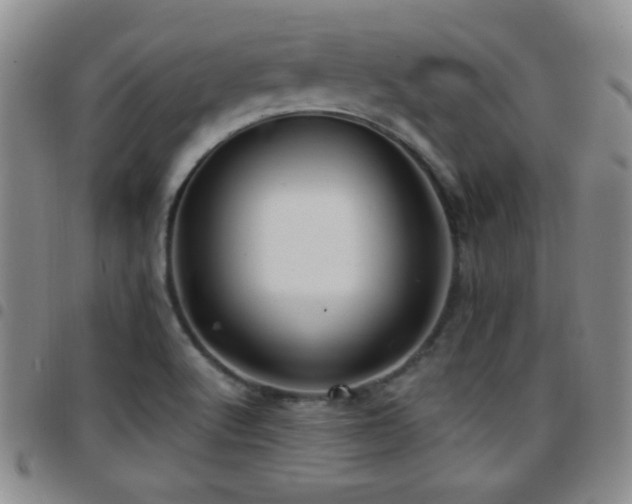 X0000097891512200803141321