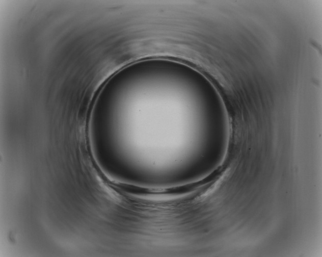 X0000097891513200803141321