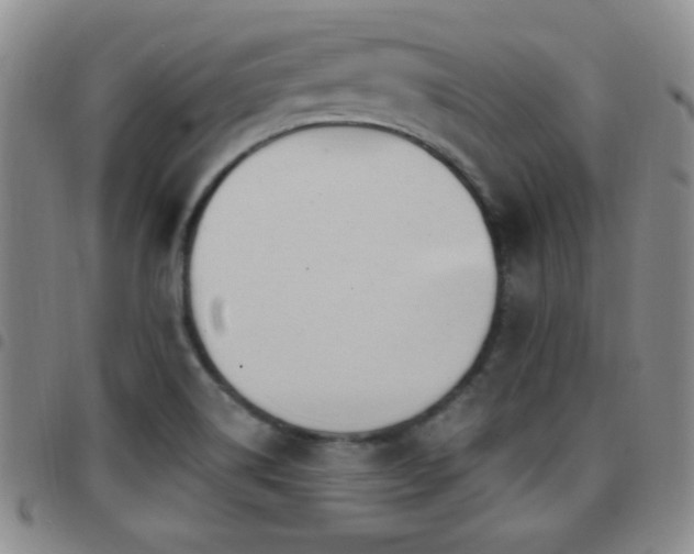 X0000097891514200803141321