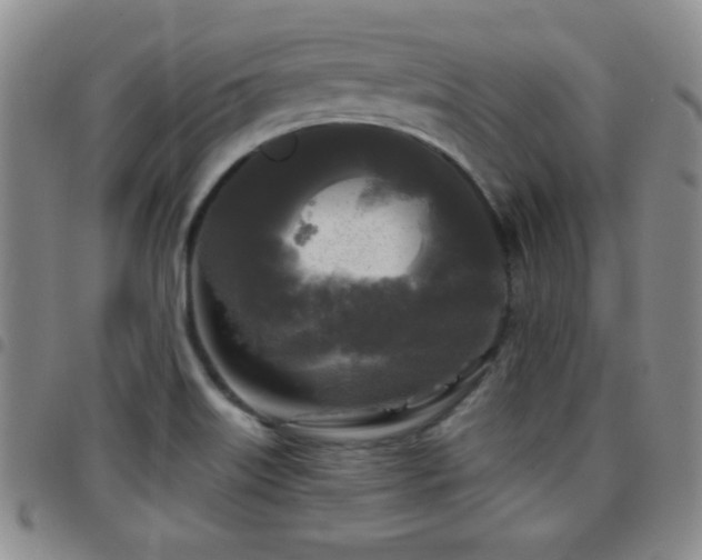 X0000097891515200803141321