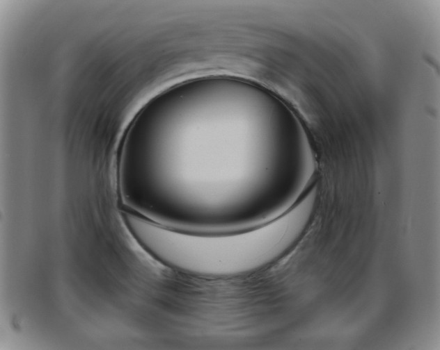 X0000097891516200803141321