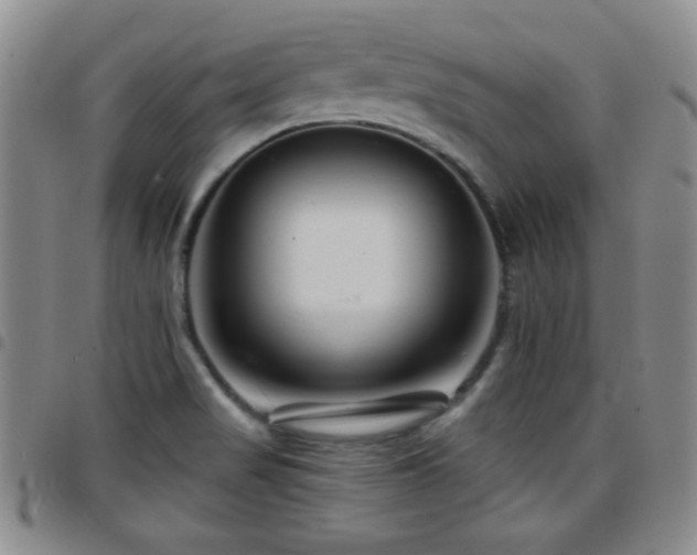 X0000097891517200803141321