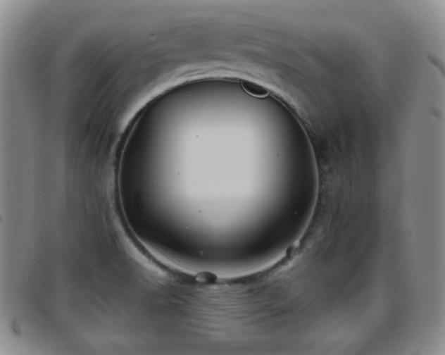 X0000097891518200803141321
