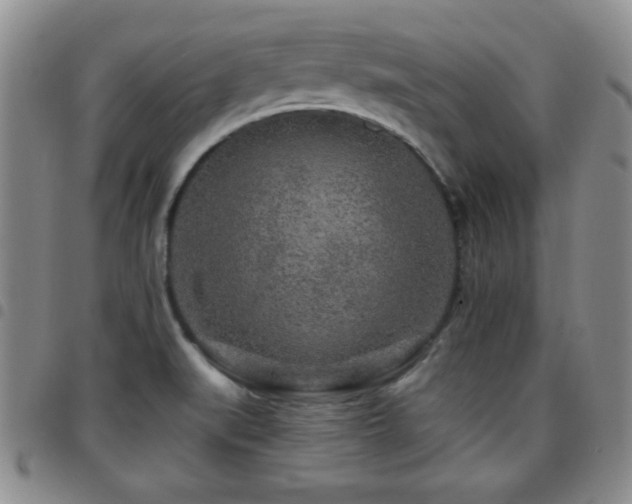 X0000097891519200803141322