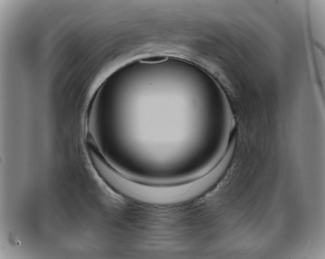 X0000097891520200803141322