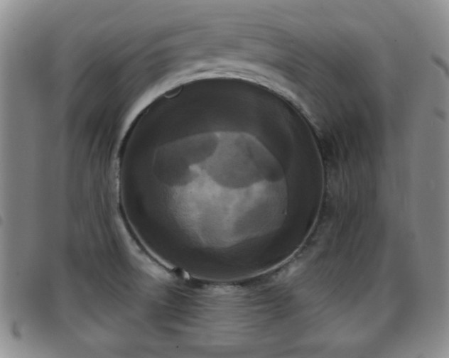 X0000097891522200803141322