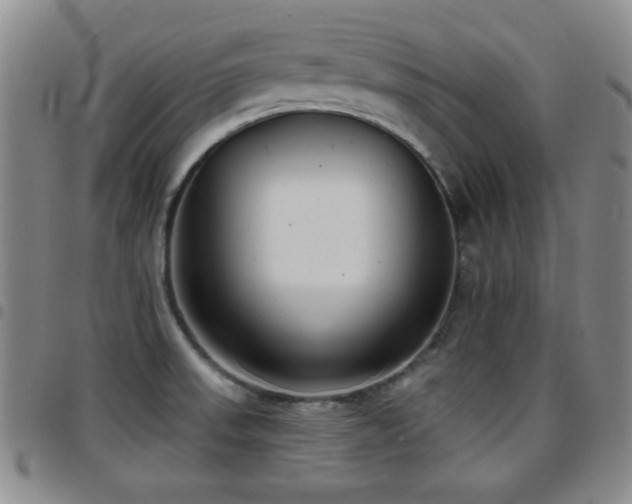 X0000097891523200803141322