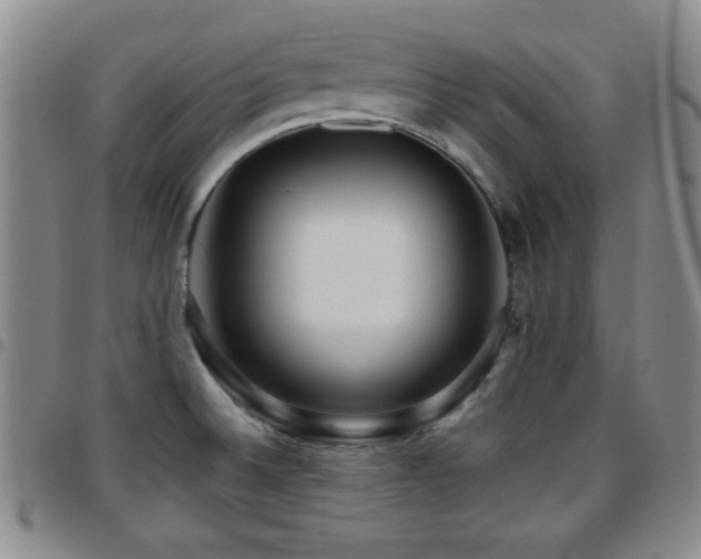 X0000097891524200803141322