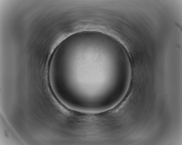 X0000097891525200803141322