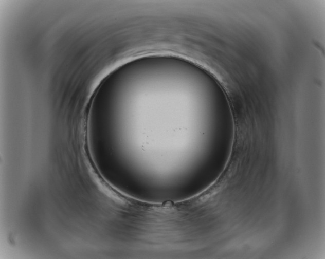 X0000097891526200803141322