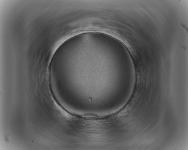 X0000097891527200803141322