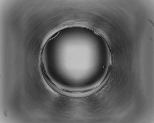 X0000097891528200803141322