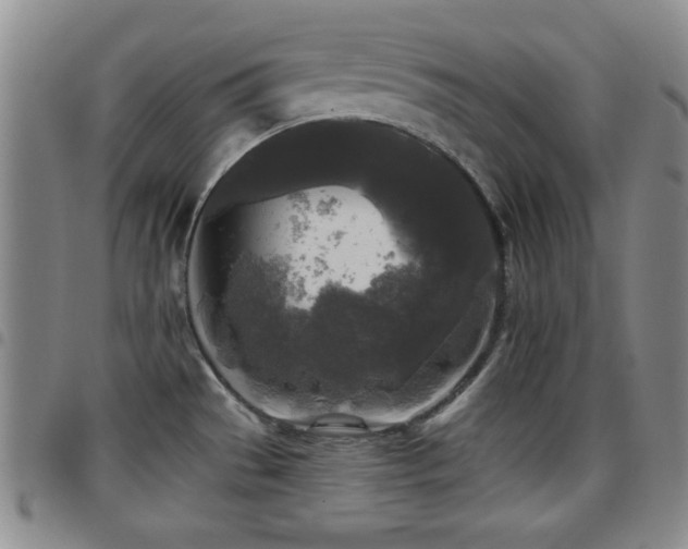 X0000097891529200803141322