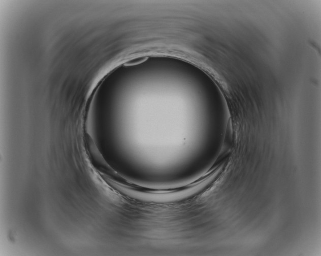 X0000097891530200803141322