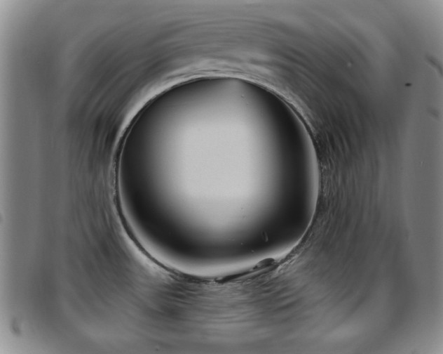 X0000097891531200803141322