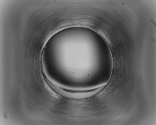 X0000097891532200803141322