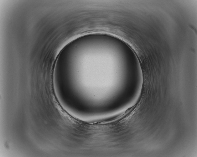 X0000097891534200803141322