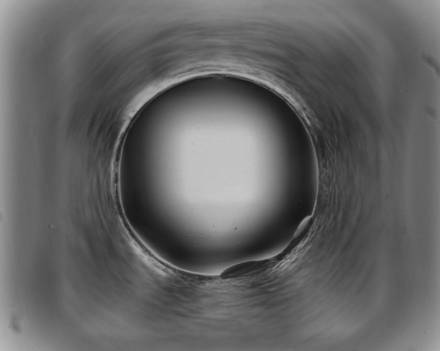 X0000097891535200803141322