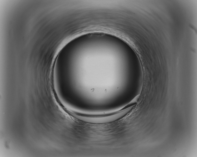 X0000097891536200803141322