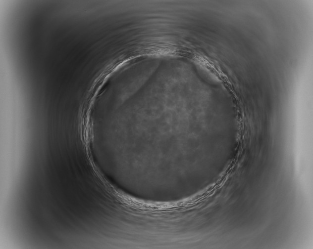 X0000097890002200803211405