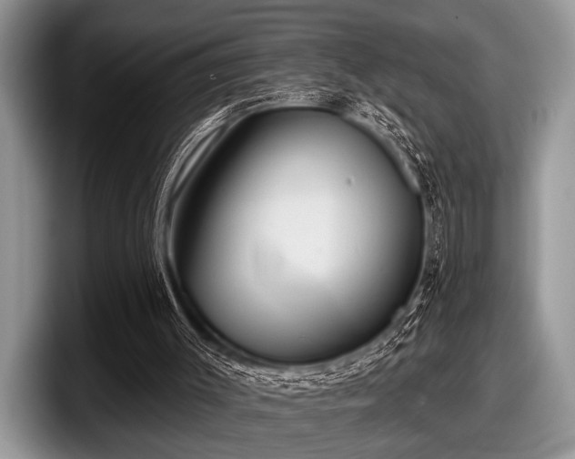 X0000097890003200803211405