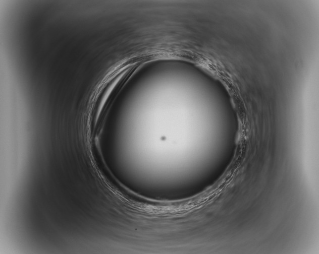 X0000097890005200803211405