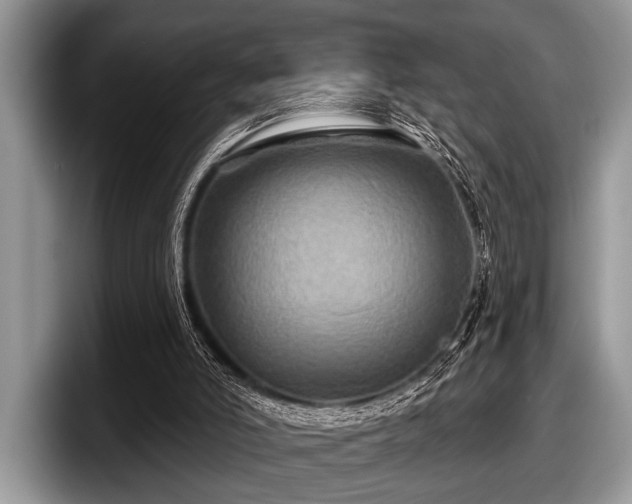 X0000097890006200803211405