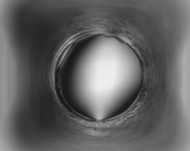 X0000097890007200803211405