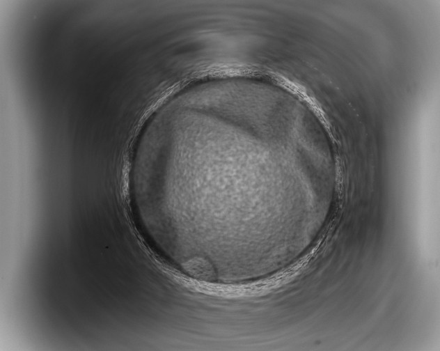 X0000097890010200803211405