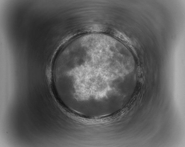 X0000097890012200803211405