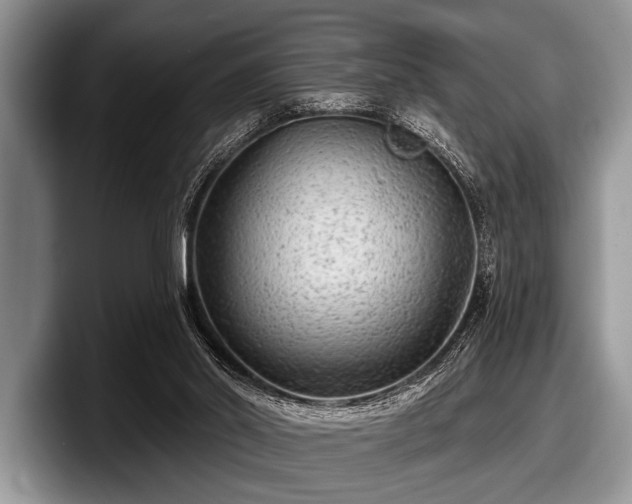 X0000097890014200803211404