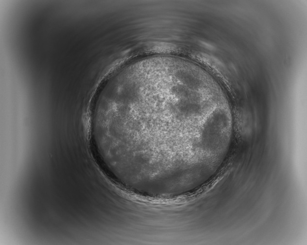 X0000097890016200803211404