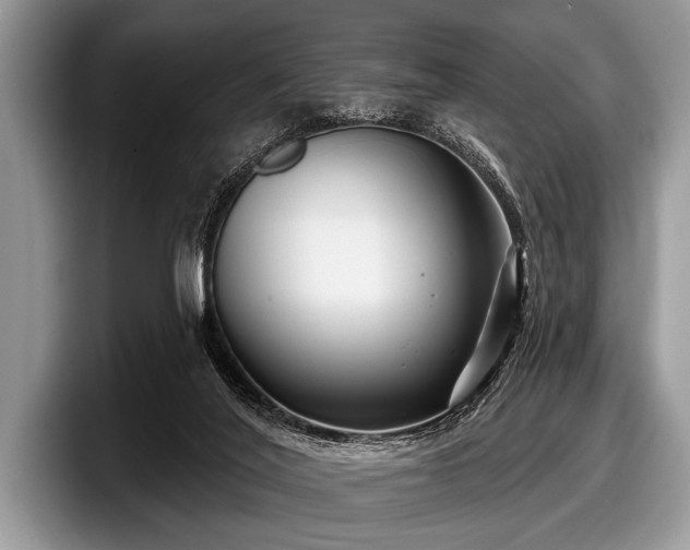 X0000097890020200803211404