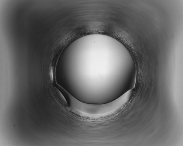 X0000097890021200803211404