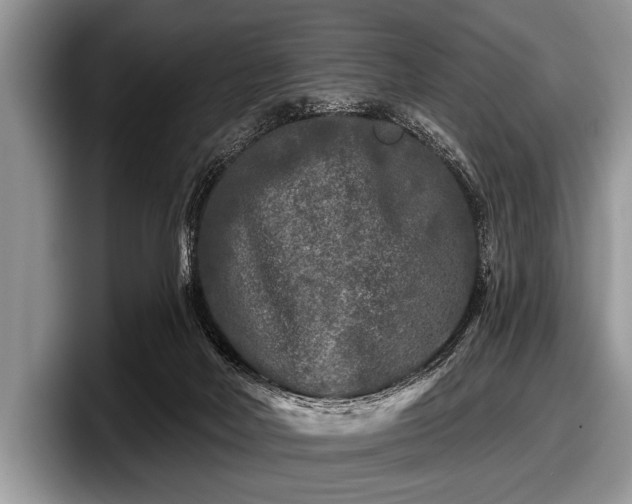 X0000097890026200803211404