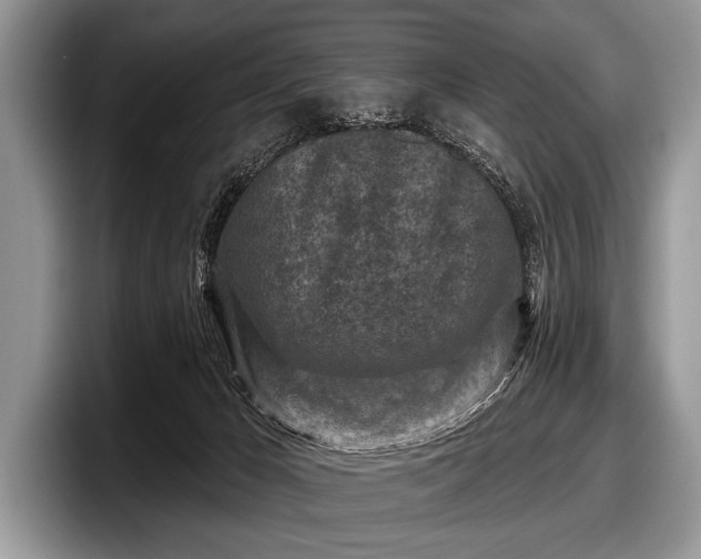 X0000097890029200803211404