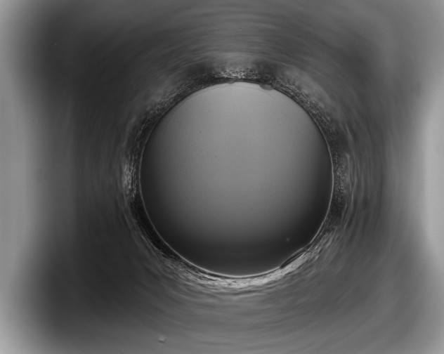 X0000097890031200803211404