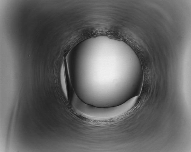 X0000097890033200803211404