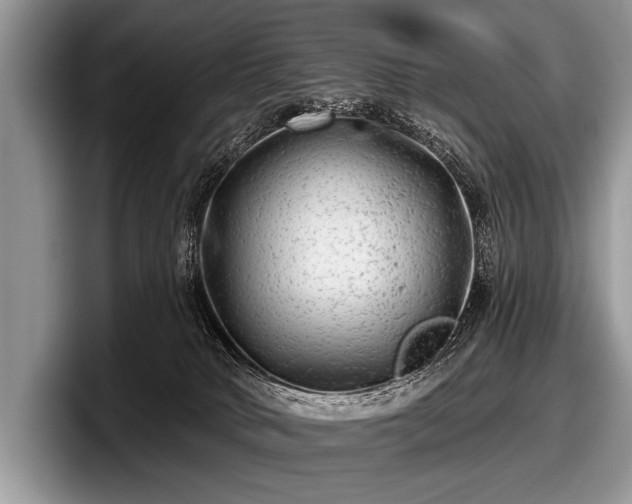 X0000097890034200803211404