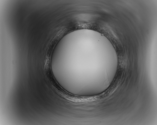 X0000097890036200803211404