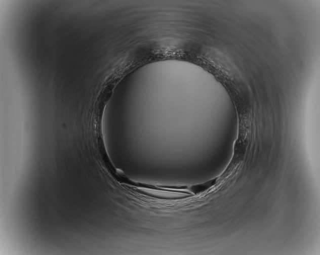 X0000097890039200803211404