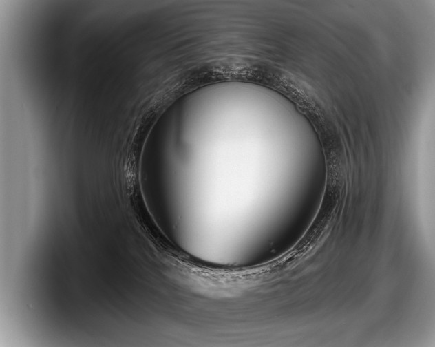 X0000097890040200803211404