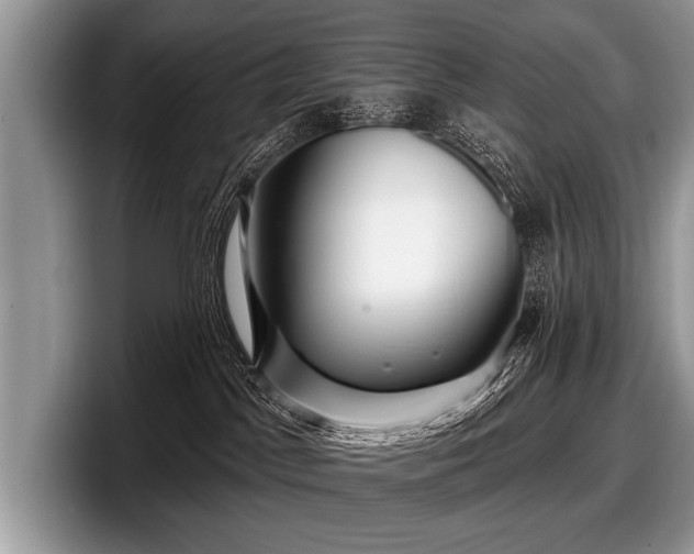 X0000097890045200803211404