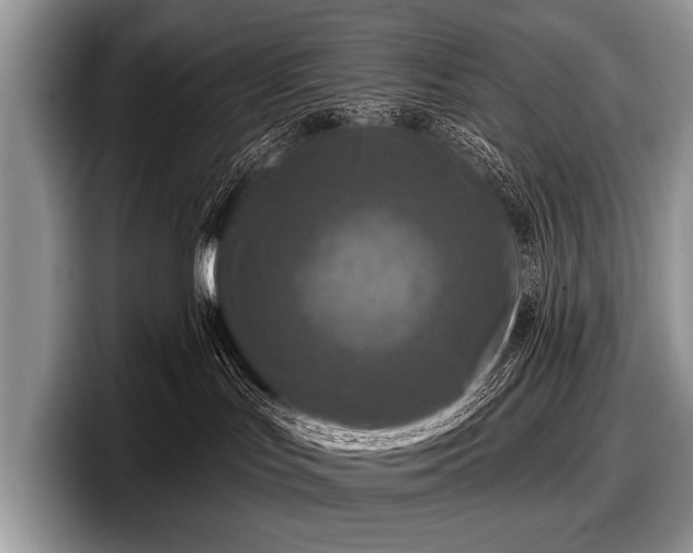 X0000097890047200803211404