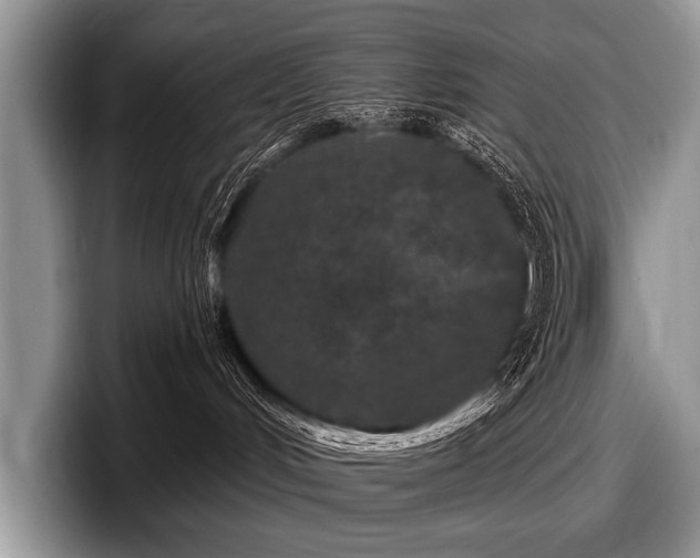 X0000097890048200803211404